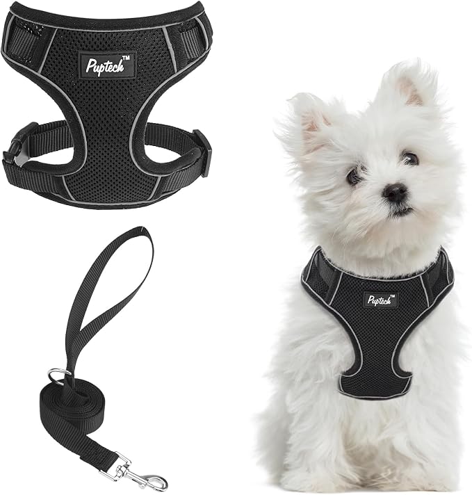 PUPTECK Small Dog Harness and Leash Set, No Pull Adjustable Puppy Cat Harness by PUPTECK