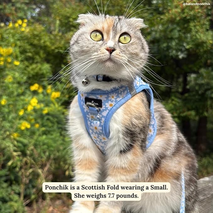 Lucy & Co. Simply Splendid Step-in Cat Harness & Leash Bundle – Reflective - Image 7