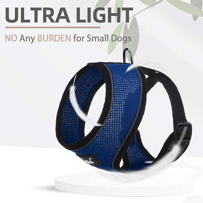 PUPTECK Soft Mesh Dog Harness and Leash Set Pet Puppy Cat Comfort Padded Vest - Image 5