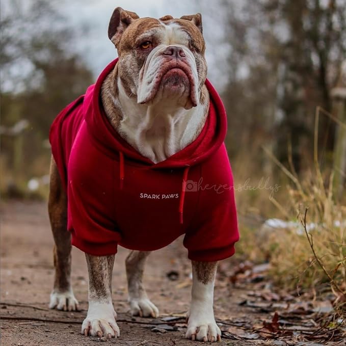 Spark Paws Dog Hoodie – Premium Dog Sweater - Image 3