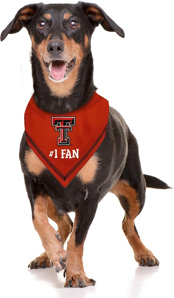 Pets First NCAA TEXAS TECH RAIDERS Personalized Tie Around Bandana - Image 2
