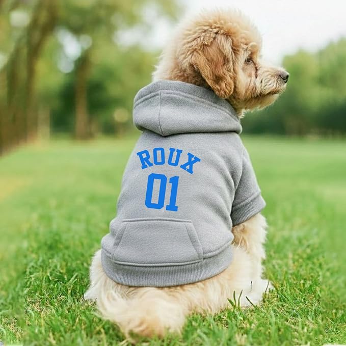 Personalized Name Dog Hoodie, Printed/Embroidered Puppy Sweater - Image 3