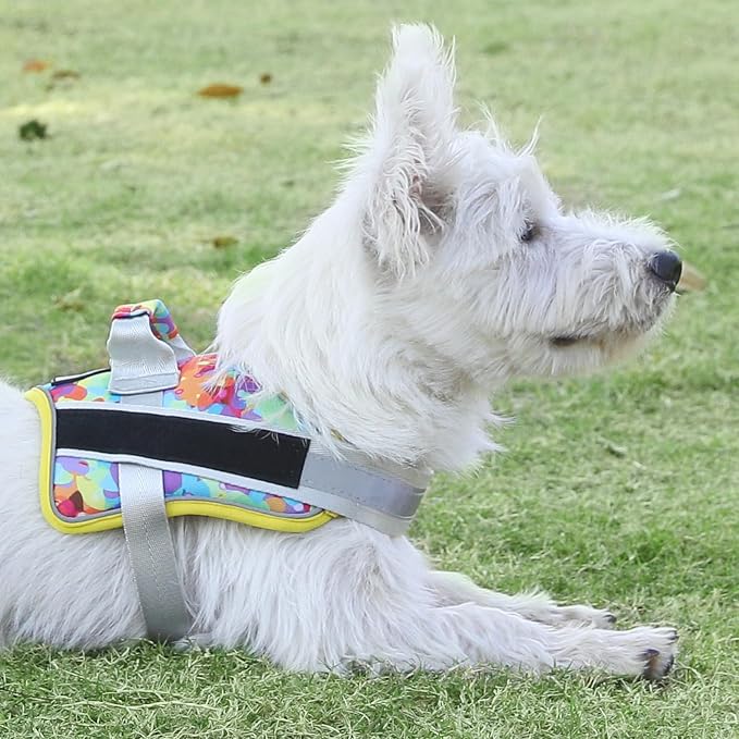 Bolux Dog Harness, No-Pull Reflective Dog Vest, Breathable Adjustable Pet - Image 5