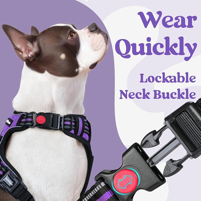 rabbitgoo Dog Harness for Large, No Pull Pet Harness - Image 2