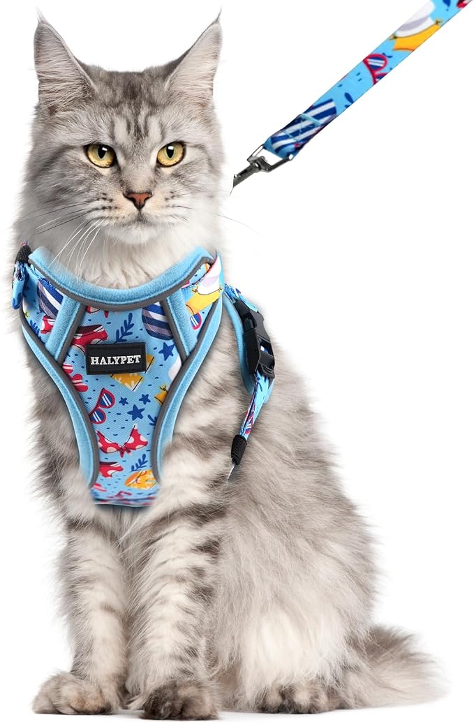 Halypet Cat Harness and Leash Set by DOMoreWithYourPet