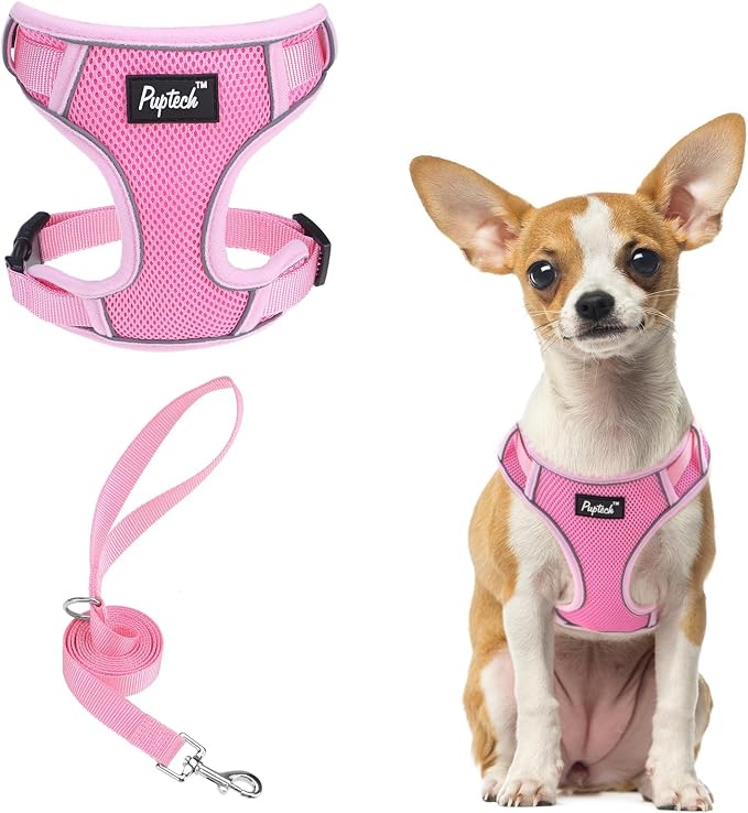 PUPTECK Small Dog Harness and Leash Set, No Pull Adjustable Puppy Cat Harness by PUPTECK