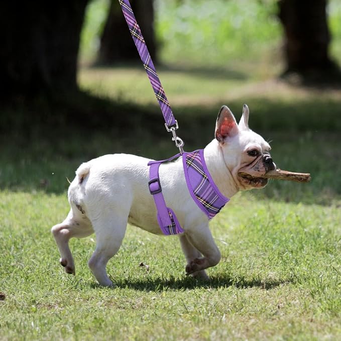 PUPTECK Soft Mesh Dog Harness and Leash Set Pet Puppy Cat Comfort Padded Vest - Image 6