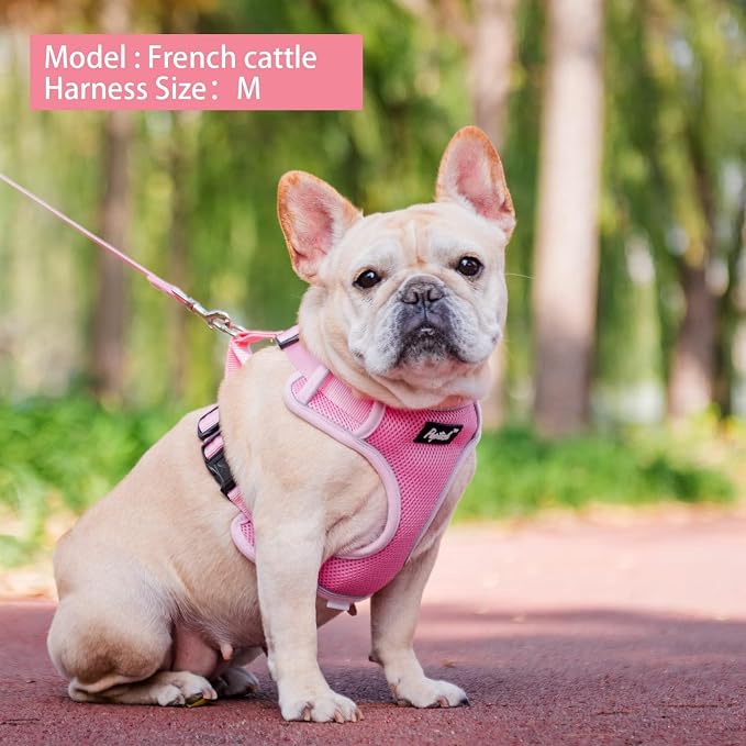 PUPTECK Small Dog Harness and Leash Set, No Pull Adjustable Puppy Cat Harness - Image 6