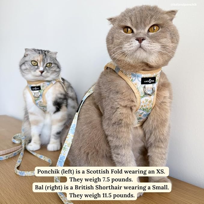 Lucy & Co. Sunshine and Daffodils Step-in Cat Harness and Leash Set Bundle - Image 9