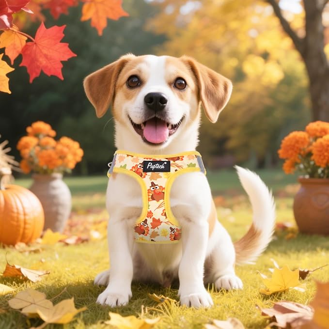 PUPTECK Dog Harness and Leash Set - Image 6