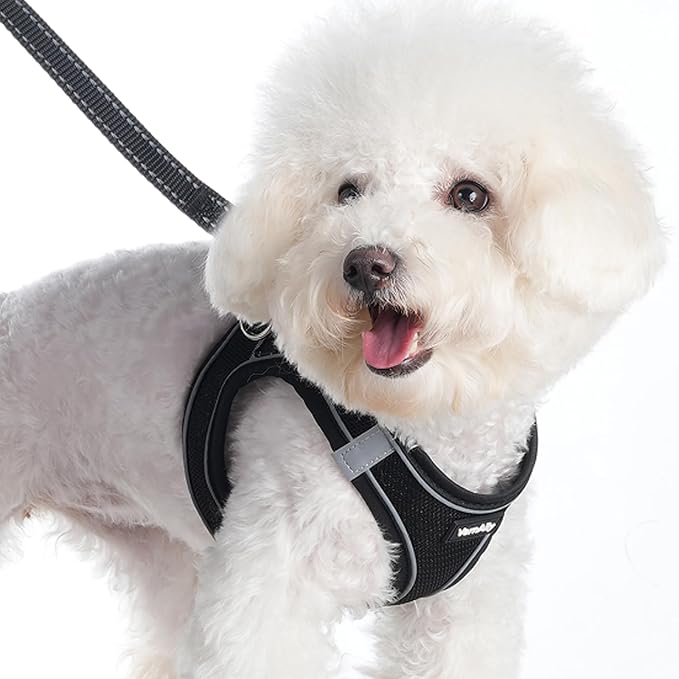 Sparkly Dog Harness Small Sized and Leash Set - Image 2