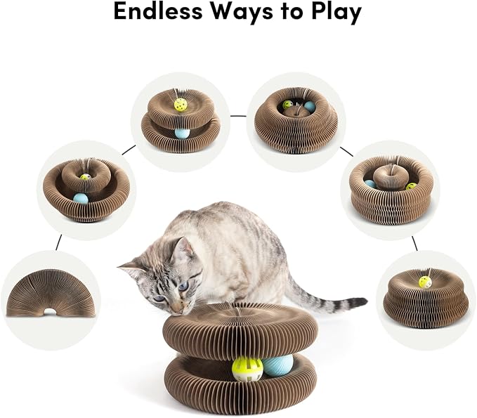 Magic Organ Cat Scratcher with Automatic Electric Ball, 2-in-1 Interactive - Image 3
