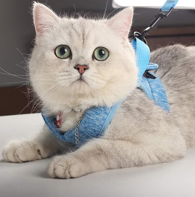 HEYWEAN Cat Harness and Leash - Image 6