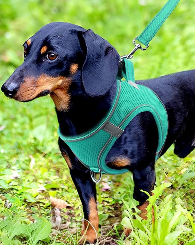 Joytale Small Dog Harness, Breathable Mesh Step-in Vest, Reflective Soft Padded - Image 2