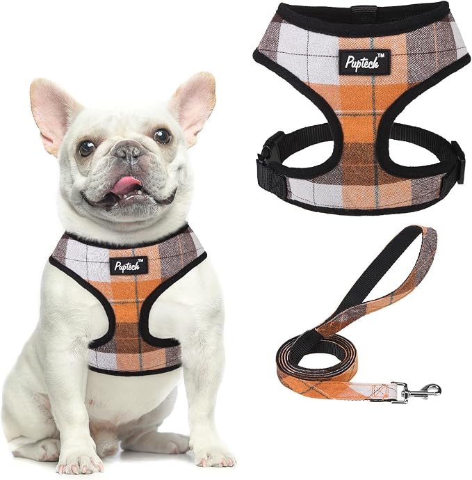 PUPTECK Soft Mesh Dog Harness and Leash Set Pet Puppy Cat Comfort Padded Vest by PUPTECK