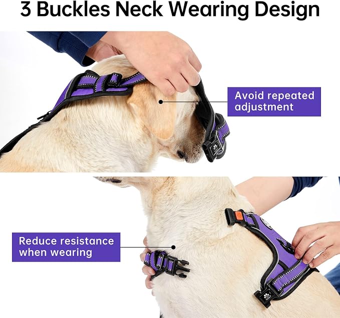 IVY&LANE No Pull Dog Harness for Small Dogs, Dog Vest Harness - Image 3