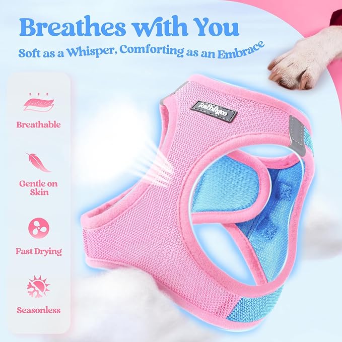rabbitgoo Dog Harness Small Medium Sized and Leash Set, Step in Soft Light - Image 3
