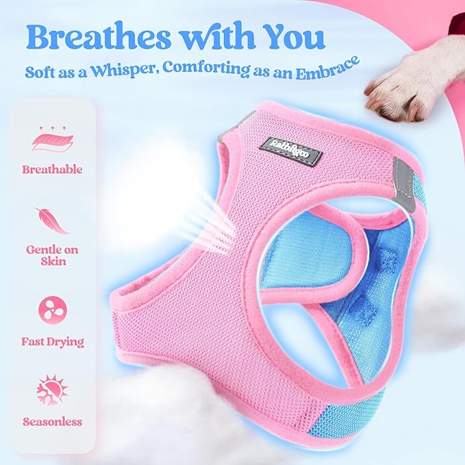 rabbitgoo Dog Harness Small Medium Sized and Leash Set, Step in Soft Light - Image 3