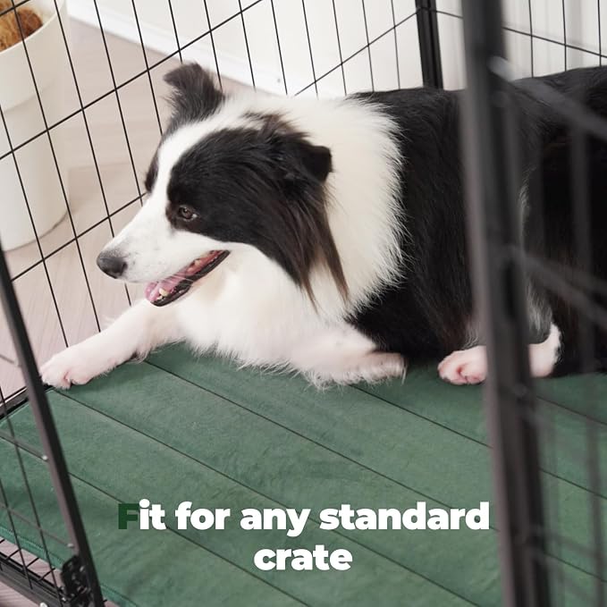 BALANCE Dog Crate Pad, Dog Foam Crate Mat Kennel Pad, Washable Water-Resistant - Image 4