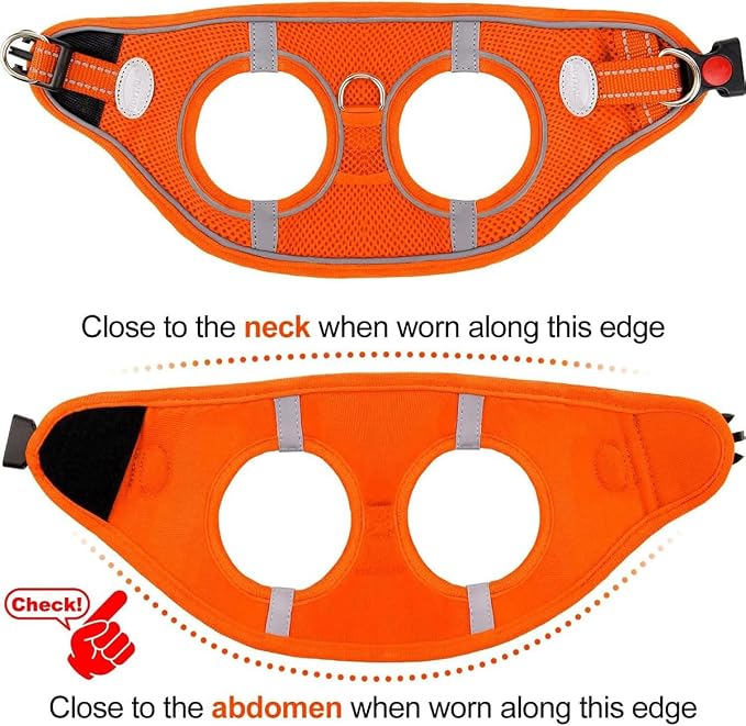 Joytale Small Dog Harness, Breathable Mesh Step-in Vest, Reflective Soft Padded - Image 6