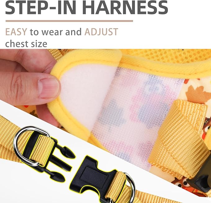 PUPTECK Dog Harness and Leash Set - Image 3
