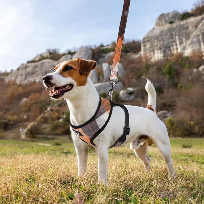 PUPTECK Soft Mesh Dog Harness and Leash Set Pet Puppy Cat Comfort Padded Vest - Image 6