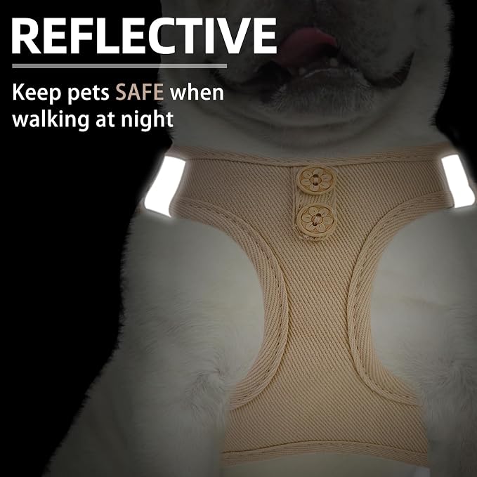 PUPTECK Dog Harness and Leash Set - Image 5