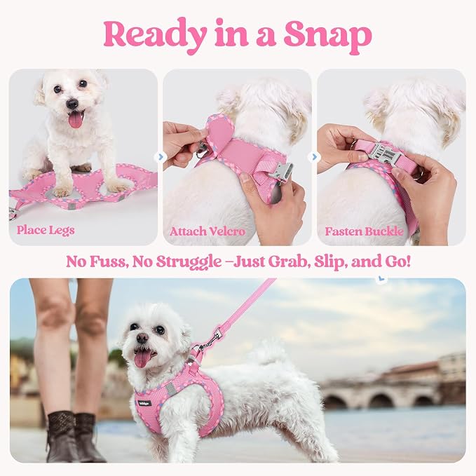 rabbitgoo Dog Harness Small Sized and Leash Set, Step in Soft Light Puppy Vest - Image 8