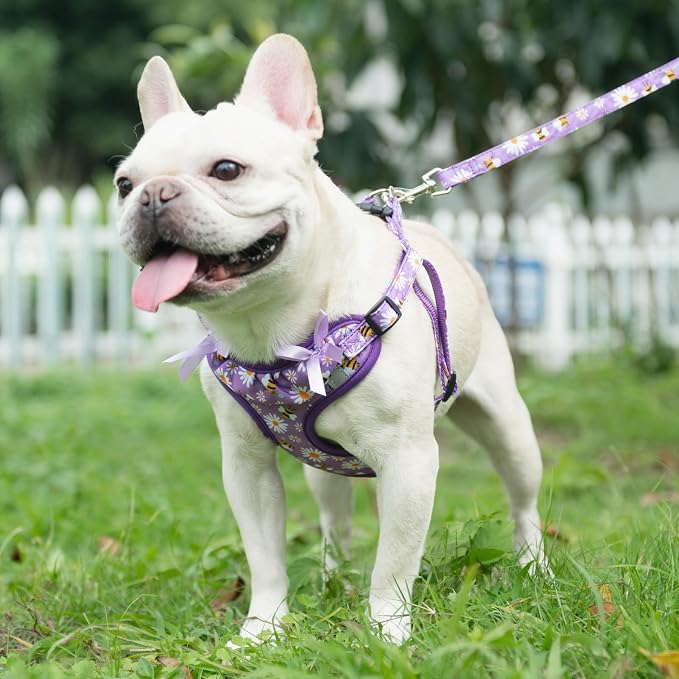 PUPTECK Dog Harness and Leash Set Medium Sized, Step in No Pull Adjustable - Image 5