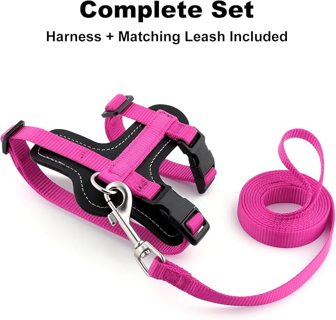 Plutus Pet Adjustable Cat Harness and Leash Set, Quick Release, Escape Proof - Image 2