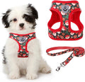 KOOLTAIL Christmas Dog Harness for Small Medium Dogs, Dog Harness and Leash Set by KOOLTAIL