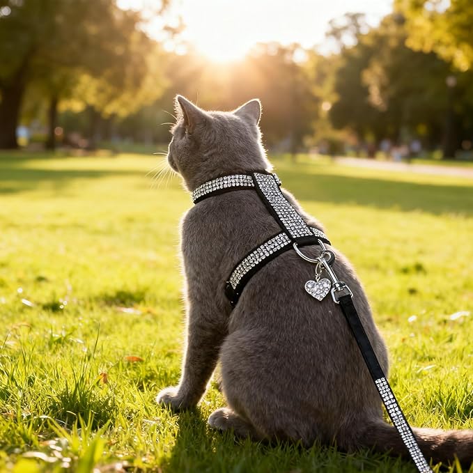 EXPAWLORER Cat Harness and Leash Set - Image 7