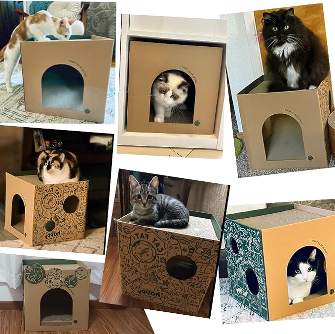 Cardboard Cat House with 2 Story Scratch Pads - Image 2