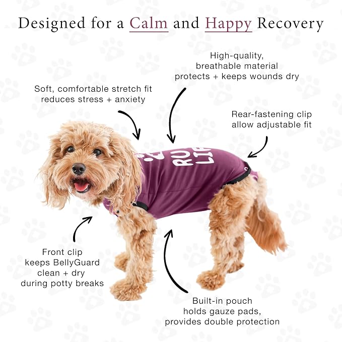 BellyGuard Dog Surgery Recovery Suit, Dog Onesie - Image 4