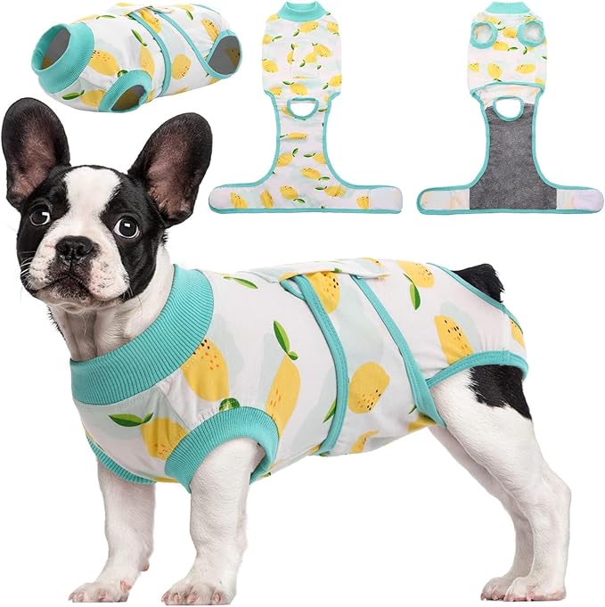 Kuoser Recovery Suit for Dogs Cats After Surgery, Professional Pet Recovery by Kuoser