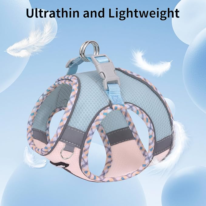 AIITLE Small Dog Harness - Image 7