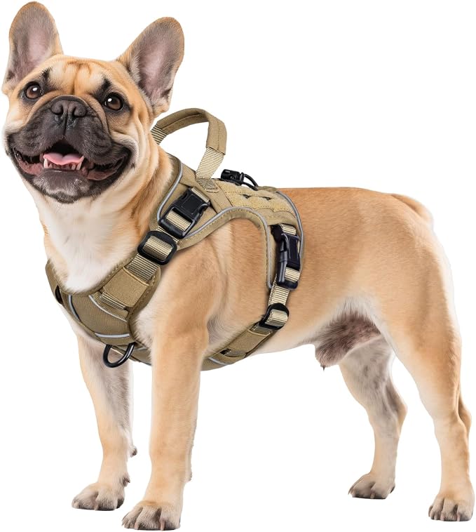 WINGOIN Tactical Dog Harness for Small Dogs, Heavy Duty No Pull Harness by WINGOIN