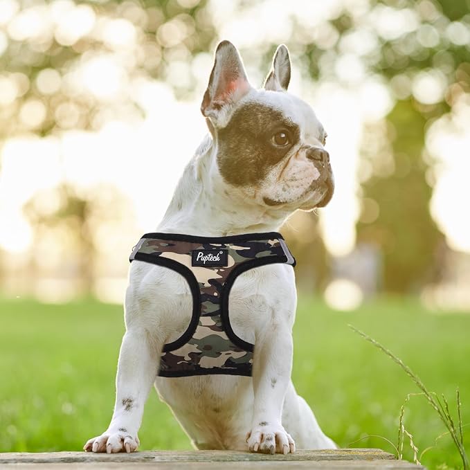 PUPTECK Dog Harness and Leash Set - Image 6