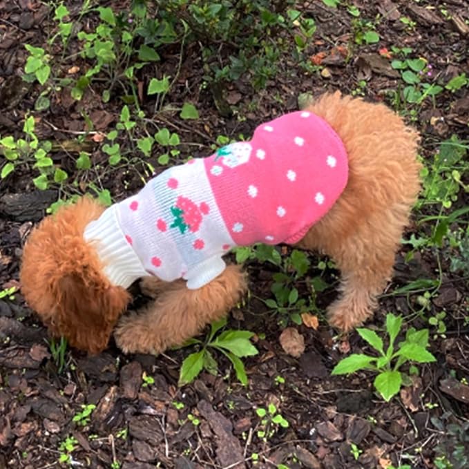CHBORCHICEN Pet Dog Sweaters Classic Knitwear Turtleneck Winter Warm Puppy - Image 5