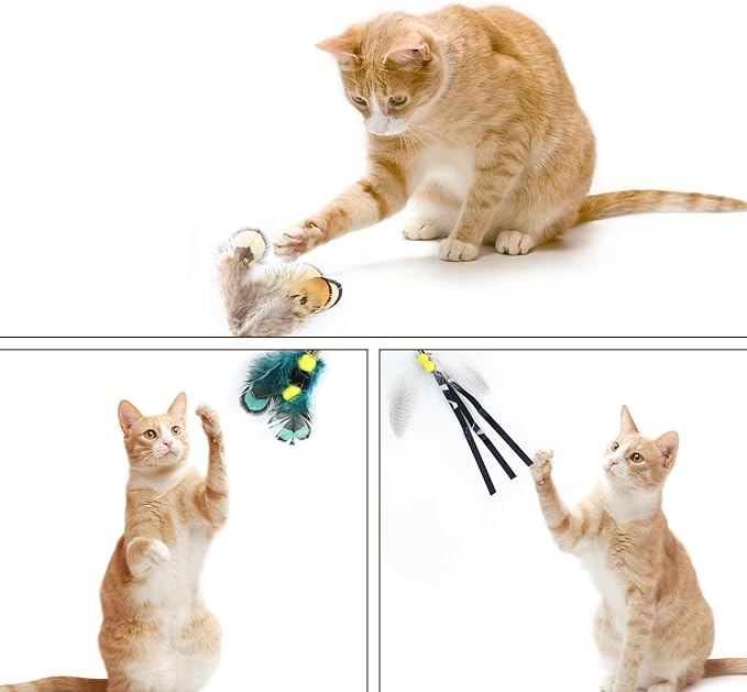 Cat Insect Feather Toys Replacement Cat Toy Wand Refills, 6 Pieces Natural - Image 5