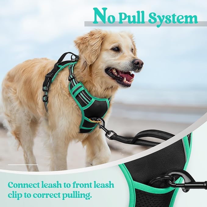 rabbitgoo Dog Harness No Pull - Image 5