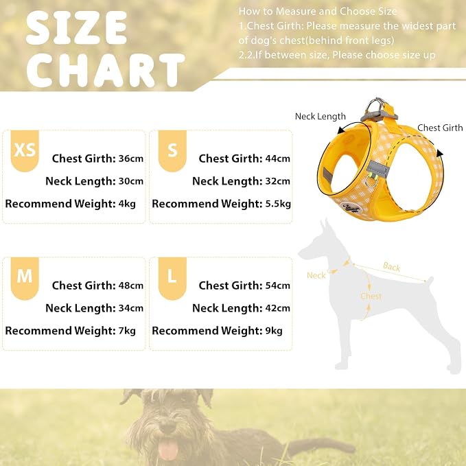 Gyuzh Dog Harness and Leash Set, Soft Mesh Breathable Small Dog Harness - Image 2