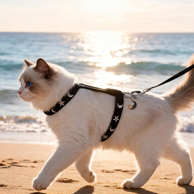 EXPAWLORER Cat Harness and Leash Set - Image 8