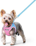 rabbitgoo Dog Harness Small Sized and Leash Set, Step in Soft Light Puppy Vest by rabbitgoo