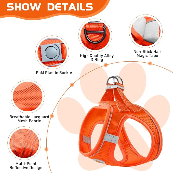 Soft Mesh Dog Harness and Leash Set, No Pull Puppy Harness and Leash Set - Image 2