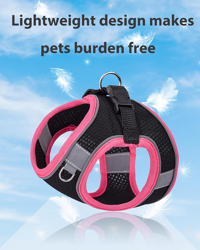 Dog Harness for Small Medium Sized Dog, Step in Puppy Harness and Leash Set - Image 3