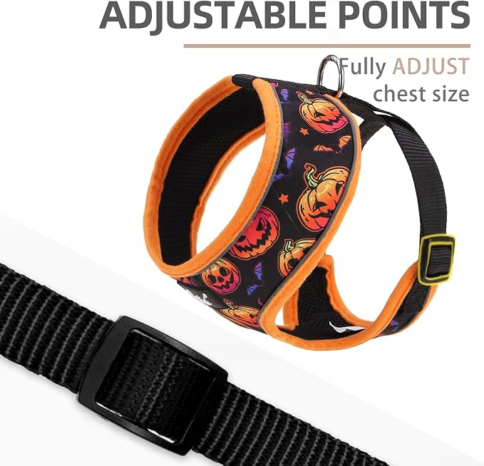 PUPTECK Soft Mesh Dog Harness and Leash Set Pet Puppy Cat Comfort Padded Vest - Image 3