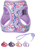 Step in Dog Harness and Leash Set, Flower Adjustable Easy Walk Puppy Harnesses by Flymind