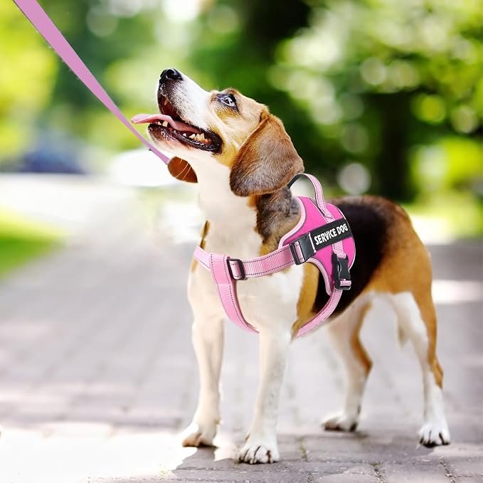 voopet Emotional Support Dog Harness, Professional Service Dog Vest Harness - Image 4