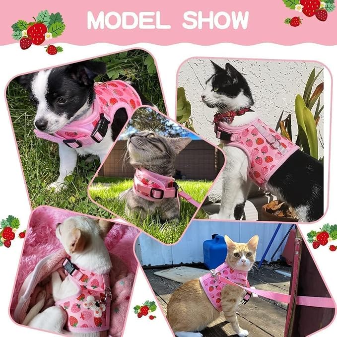 BINGPET Cat Harness with Leash Escape Proof - Image 5